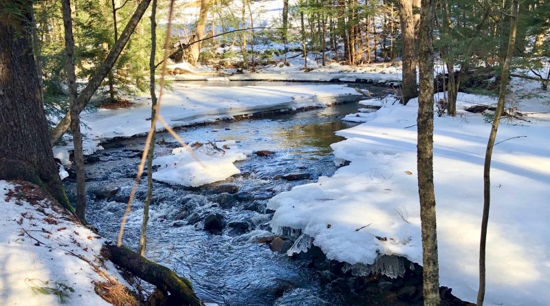 Adams Brook, Shutesbury, MA